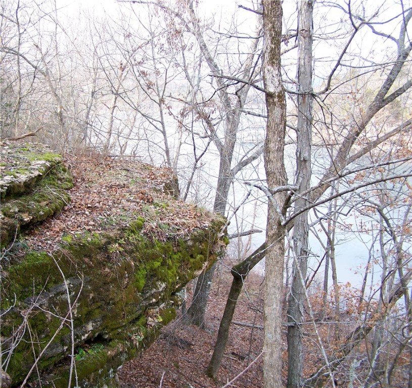 Red Bluff Heights - Land
