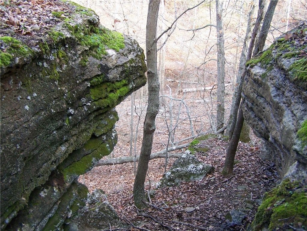 Red Bluff Heights - Land