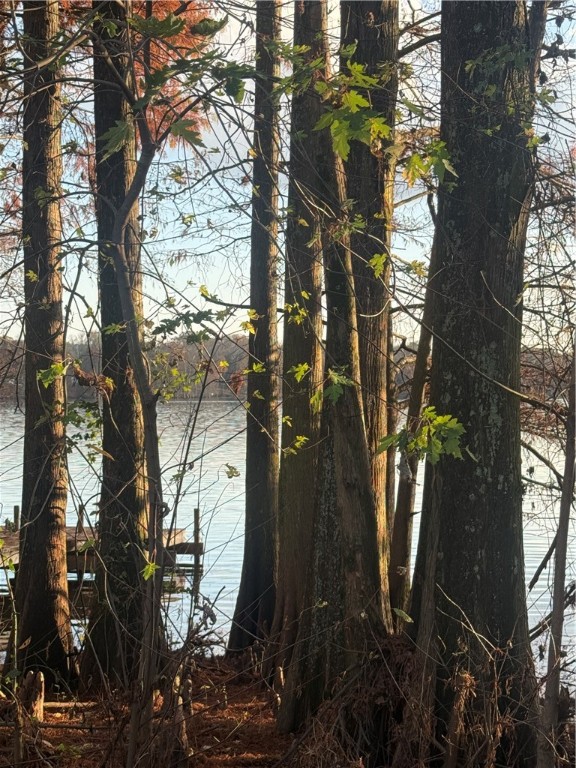 Have amazing sunset views over Lake Atkins from your very own private lot. Just minutes to fishing docks and lake access points, you'll never run out of hobbies or get tired of the scenery around you.