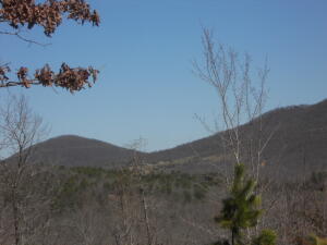 Looking for remote land in the heart of Newton  County?  Great hunting property with large timber and water, great views, roads throughout the property.  Great building sites for an off grid cabin, or turn it into your own ATV or Jeep property.  Possibilities are endless.