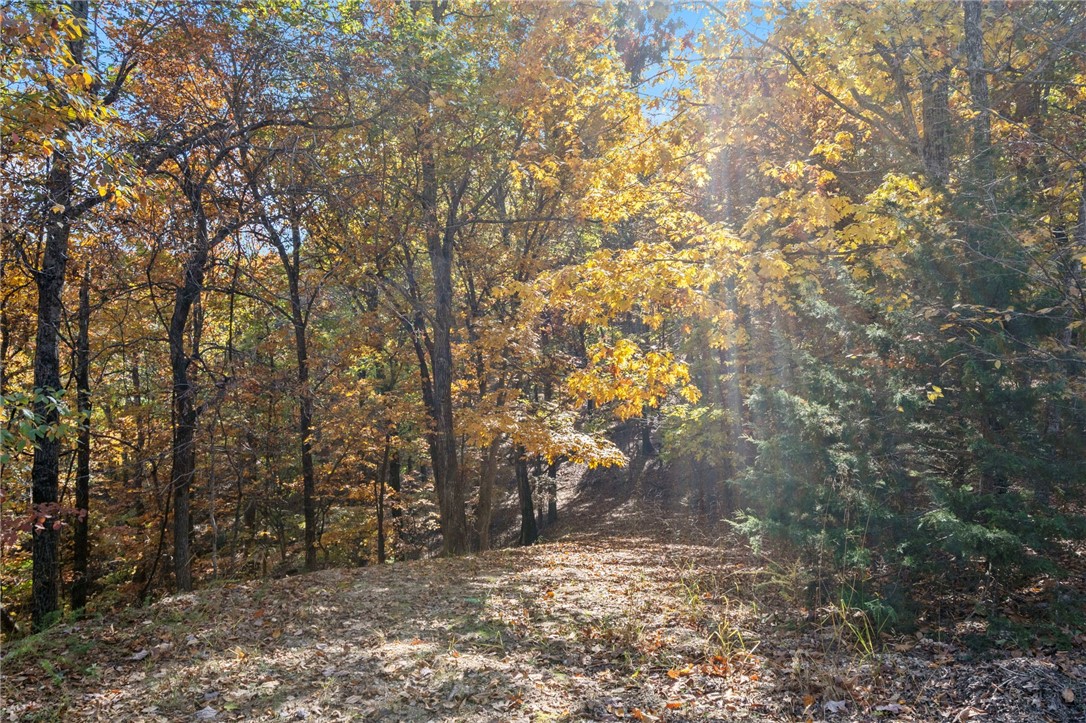 Beavers Cove - Land