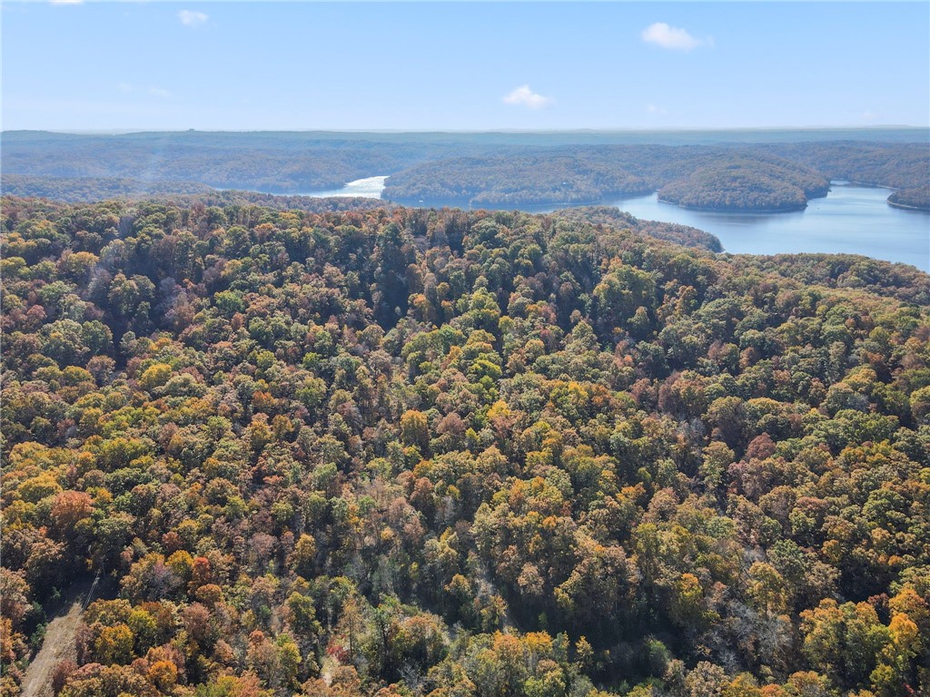 Beavers Cove - Land