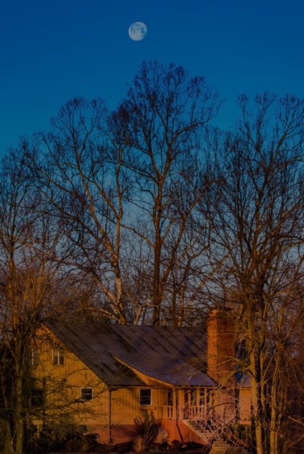 None - Residential