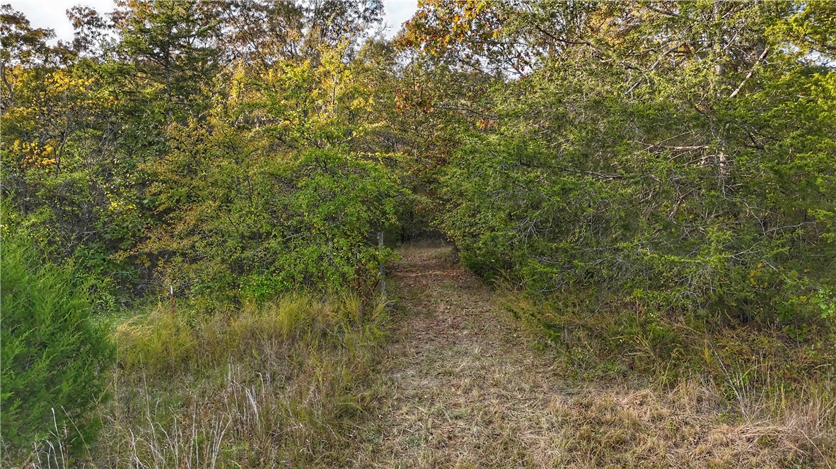 Escape the noise without sacrificing convenience. This extraordinary 40-acre tract offers the perfect blend of deep seclusion and immediate usability, located less than 30 minutes from the amenities of Harrison, Arkansas.
Imagine waking up on your own private slice of the Ozarks, where the only neighbors are the abundant wildlife. With ample wildlife and proven habitat, this property is a hunter's paradise, offering year-round recreational opportunities right outside your door.
For those ready to build their dream home or cabin, the utilities are already in place Multiple great building sites are available, and the land is already equipped with a shop building for immediate use, storage, or a base camp.