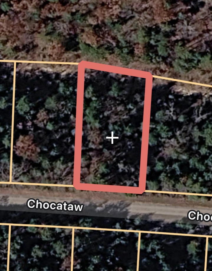 Don’t miss this priced-to-sell opportunity! This mostly flat lot is ideally situated off a quiet, secluded road, offering a peaceful setting for your future build. A quick comparison shows this is one of the best values in its price range—perfect for building or investing.