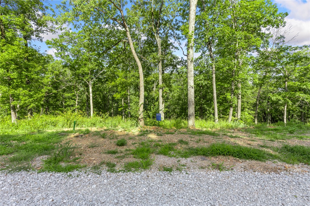 Round Mountain Estates - Land