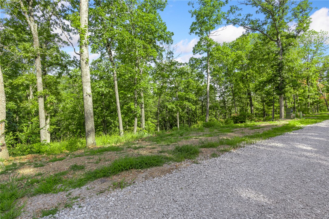 Round Mountain Estates - Land
