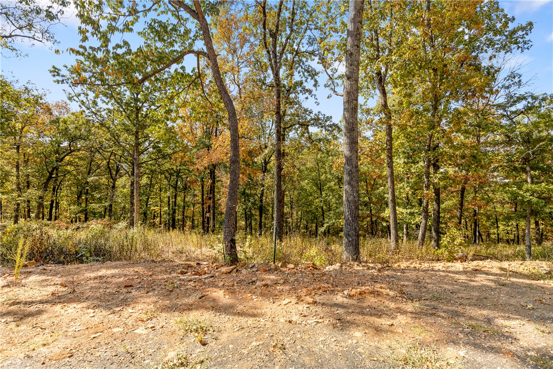 Round Mountain Estates - Land