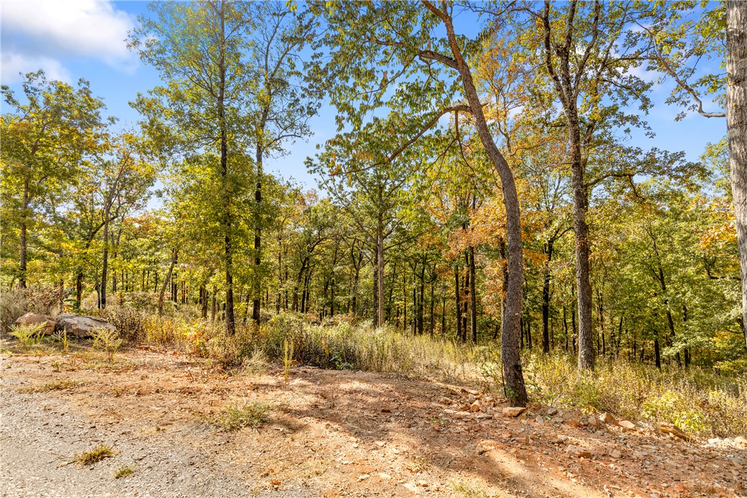 Round Mountain Estates - Land