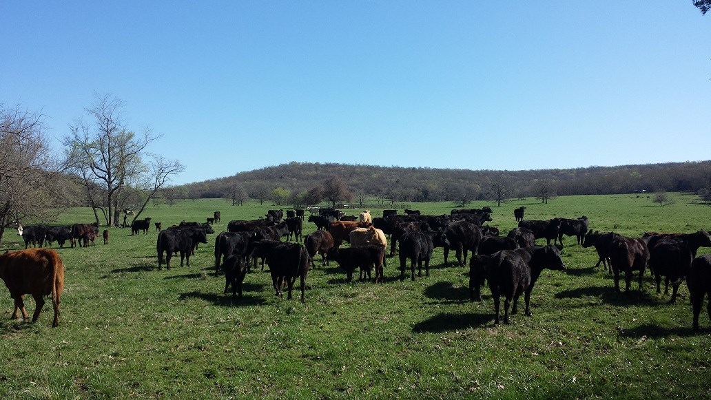 9-15-33 - Farm