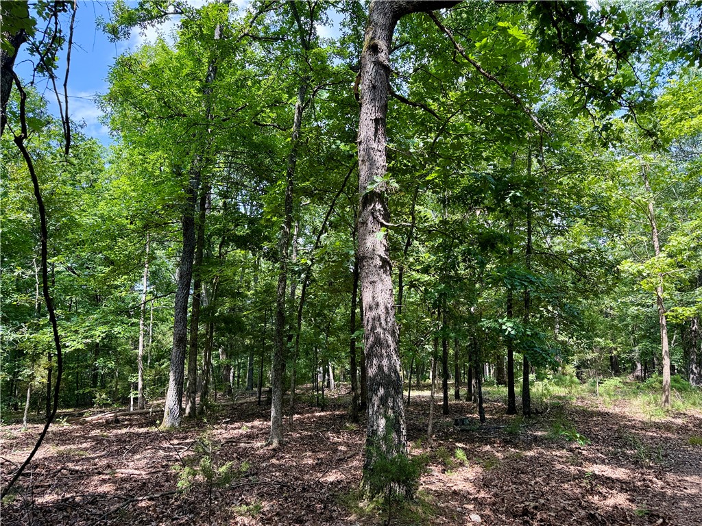 Space, seclusion and Beaver Lake right out your door — this is where you slow down and spread out! From the iron gate entrance, the secluded 23 private wooded & level acres welcome you. Build a custom home, stables & pasture, barn, guest house, shop or create multiple build sites for a family compound, homestead or investment. The terrain offers abundant wildlife habitat, fishing & with a hunting lease property nearby, it's an ideal setting for the outdoor enthusiast.  

Lake access in Hogscald Hollow is easy w a boat slip in co-owned dock (3 owners)-incl solar electrical, outlets & lighting. Adding immediate value are the well, septic, electrical & 1000 propane tank on site. The original approx 2,672 sq ft home w attached shop (built 1998) on 1.38 cleared acres is uninhabitable currently, but could be an ideal renovation project, or onsite residence while you build.  With acreage, privacy & the lake at your doorstep, the canvas is here to create your own estate retreat! Also listed as residential MLS #1355629