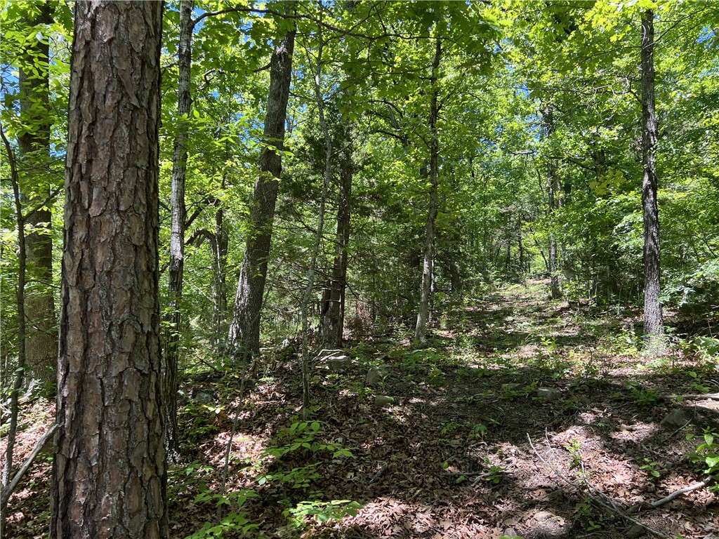The property features a nice building site with lots of hardwood trees, NO restrictions, and has 19.31 Acres M/L. The property is southernly facing and would make a great spot to go off grid. Call today to schedule a showing.