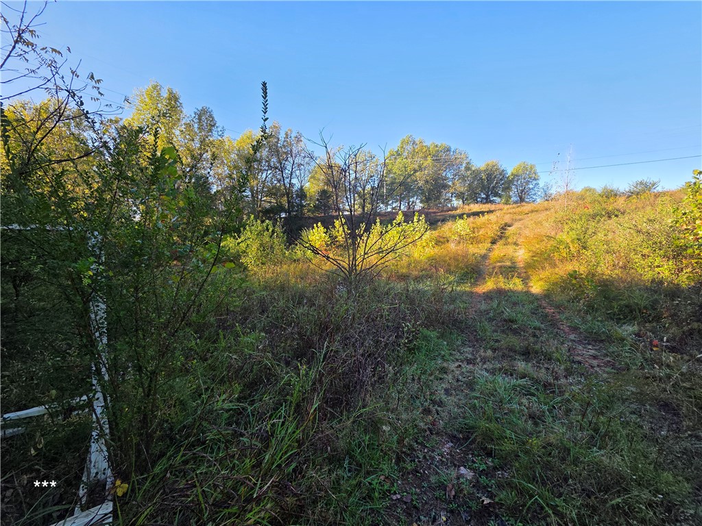 Springdale Outlots - Land