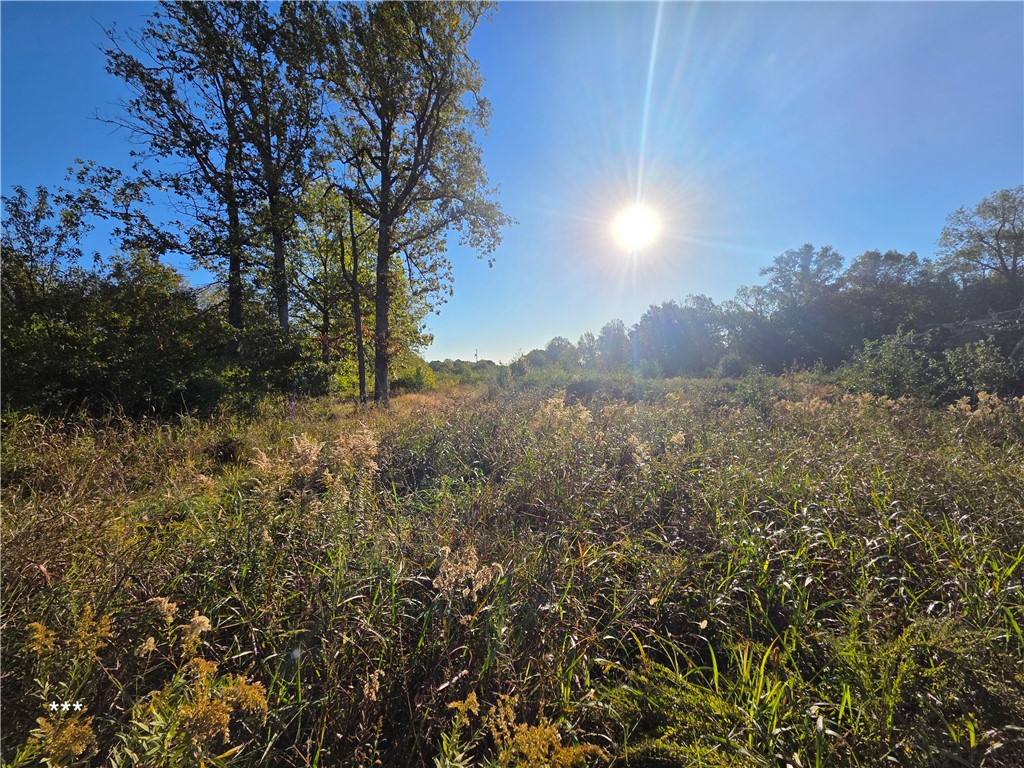 Springdale Outlots - Land