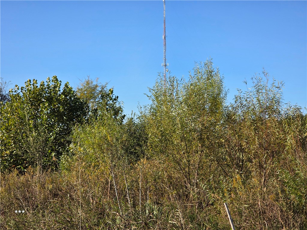 Springdale Outlots - Land