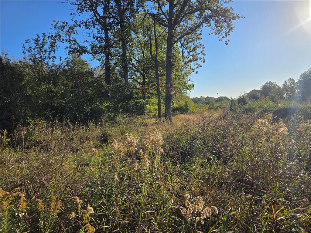 Springdale Outlots - Land