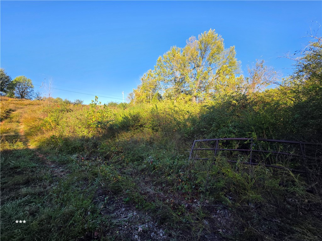 Springdale Outlots - Land