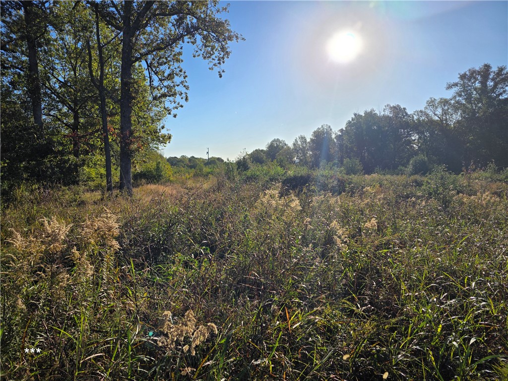 Springdale Outlots - Land