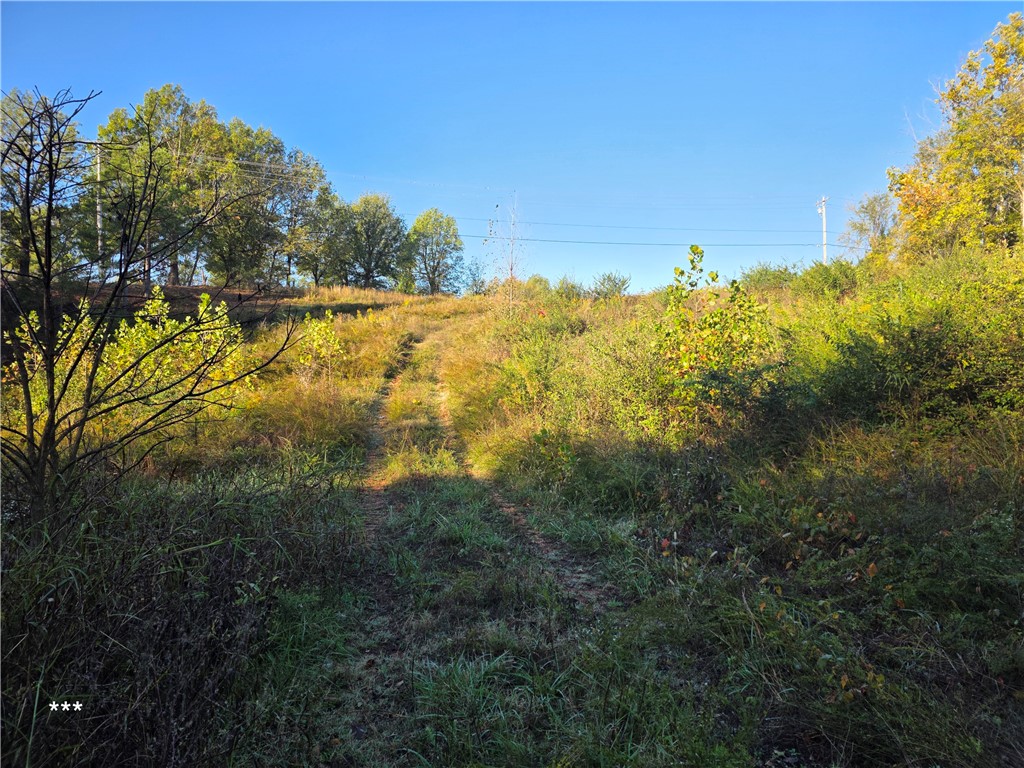 Springdale Outlots - Land