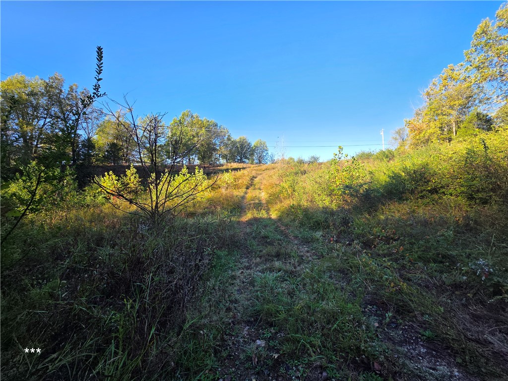 Springdale Outlots - Land
