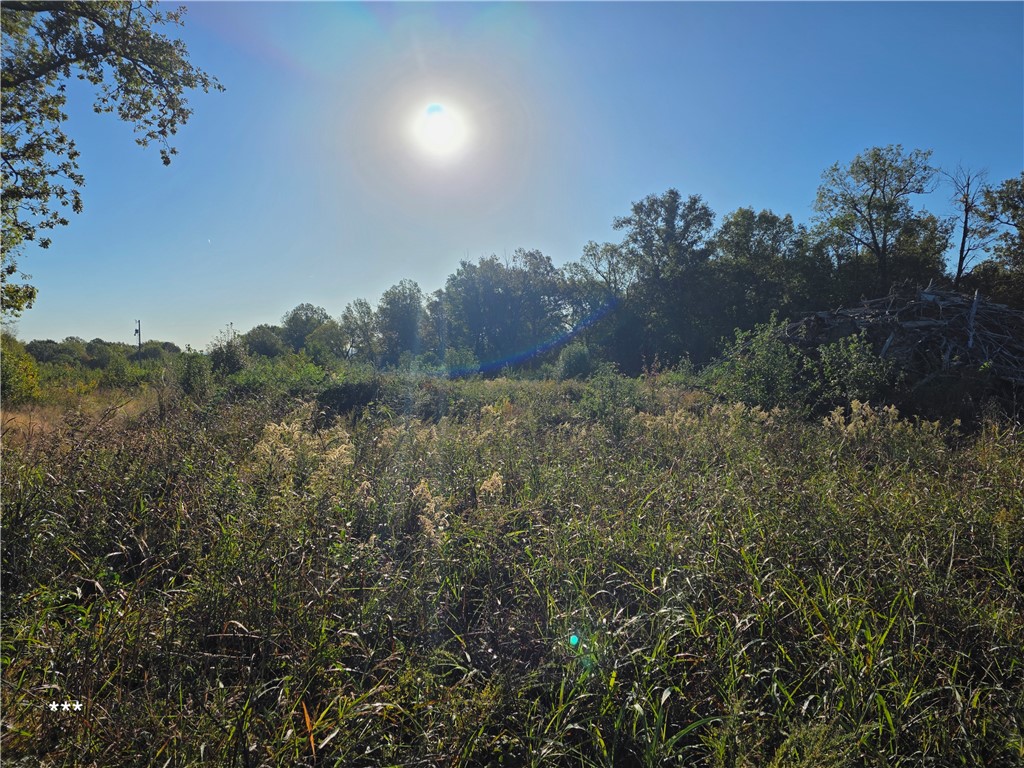 Springdale Outlots - Land