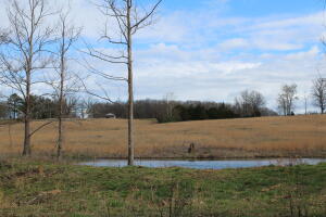 Approximately 12 ac in Madison County with rural water and electric at the road, ready for you to make it home. Lots of road frontage. Great terrain for building. Cleared for pasture with a small pond for livestock. There are some trees for shade at the back of the property. No deed restrictions. Tracts like this don't come along very often. Drive out to Witter and take a look.