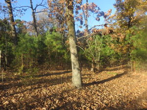 Other Subdivision in Johnson Co - Residential