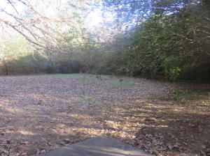 Other Subdivision in Johnson Co - Residential