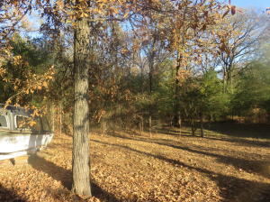 Other Subdivision in Johnson Co - Residential