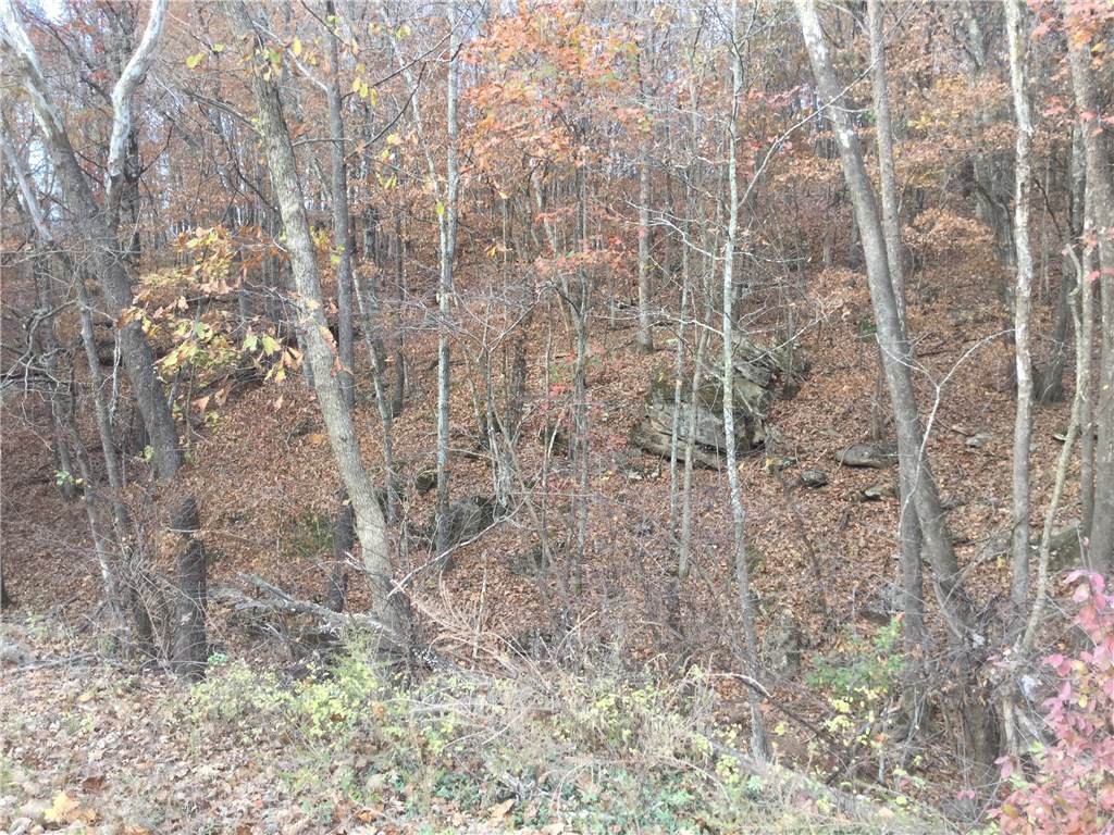 Big Deer, Turkey, full of squirrels, Bear are around also.  Just the right size to have your own place or with a partner.  Hunting Club to the north in Buck Management program.  Water and Electric available at the road and only 5 minutes from downtown Winslow and Boston Mountain Fire Department.  Paved all the way except for last few hundred yards.  Possible Owner Financing.