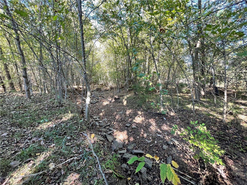 Fayetteville Outlots - Land