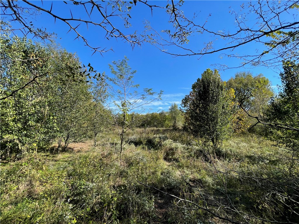 Fayetteville Outlots - Land