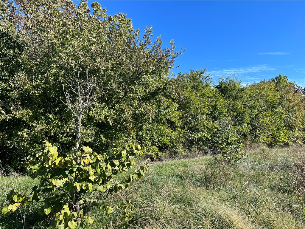 Fayetteville Outlots - Land