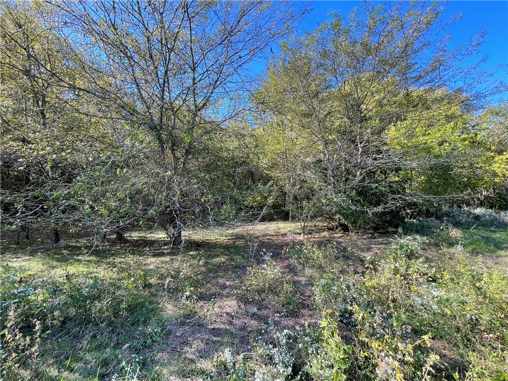 Fayetteville Outlots - Land