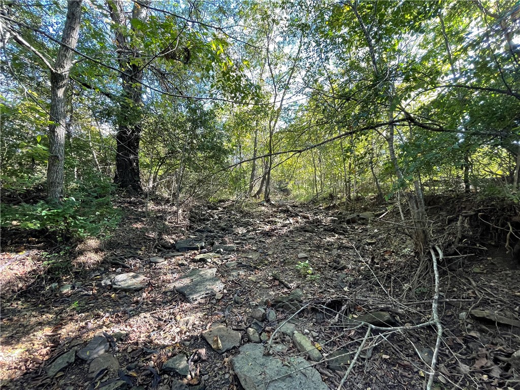 Fayetteville Outlots - Land
