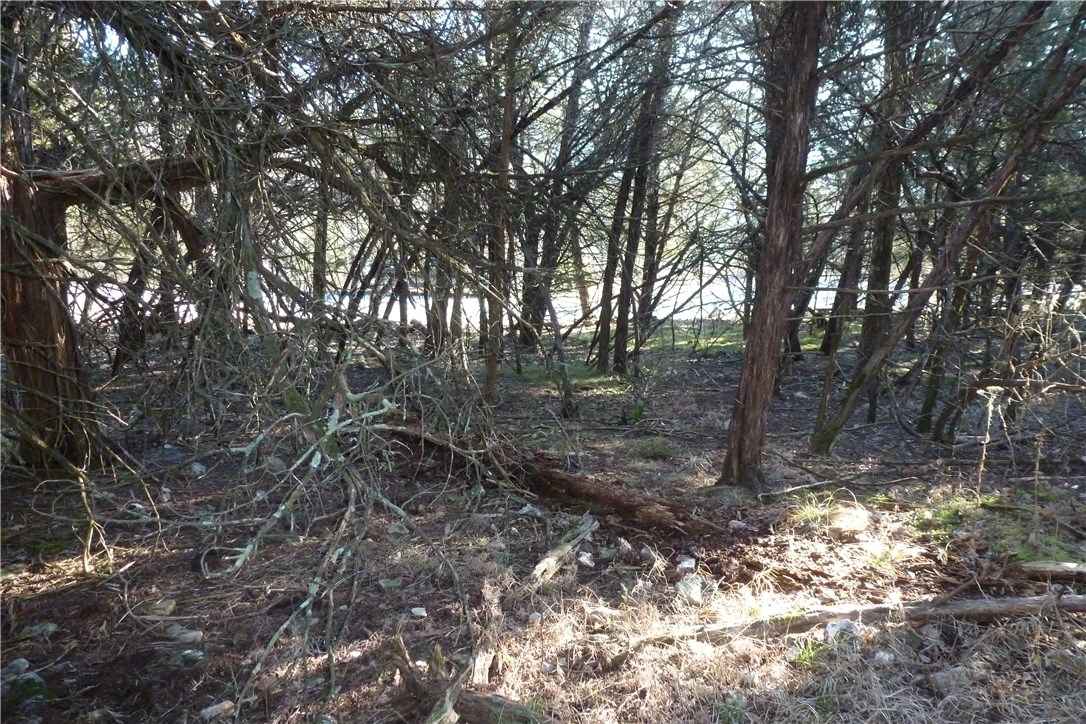Unit 117 Holiday Island - Land