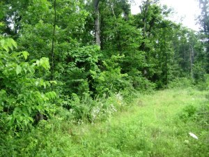 Partial lake view from this nice lying piece of property with Hwy 125 frontage, 2 or 3 good building sites.