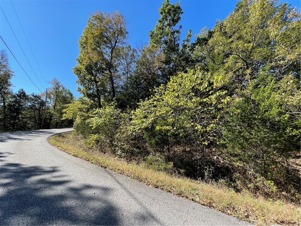 Nice lot for building your next home on.  Just under 1/2 acre, this lot affords some great views and is secluded from close neighbors.  This lot is fairly level with a slope up from the street.  Located in Unit 6, you can build as small as 900 sf of living space with 1300 sf under roof with a carport/garage or covered porch/deck.  Make this lot one you want to see all the potential of. Close to all the amenities Holiday Island has to offer.  15 Minutes to enjoy the night life in Eureka Springs and 45 minutes to all the fun in Branson. Call the ozarks home with this lot.  Call today.