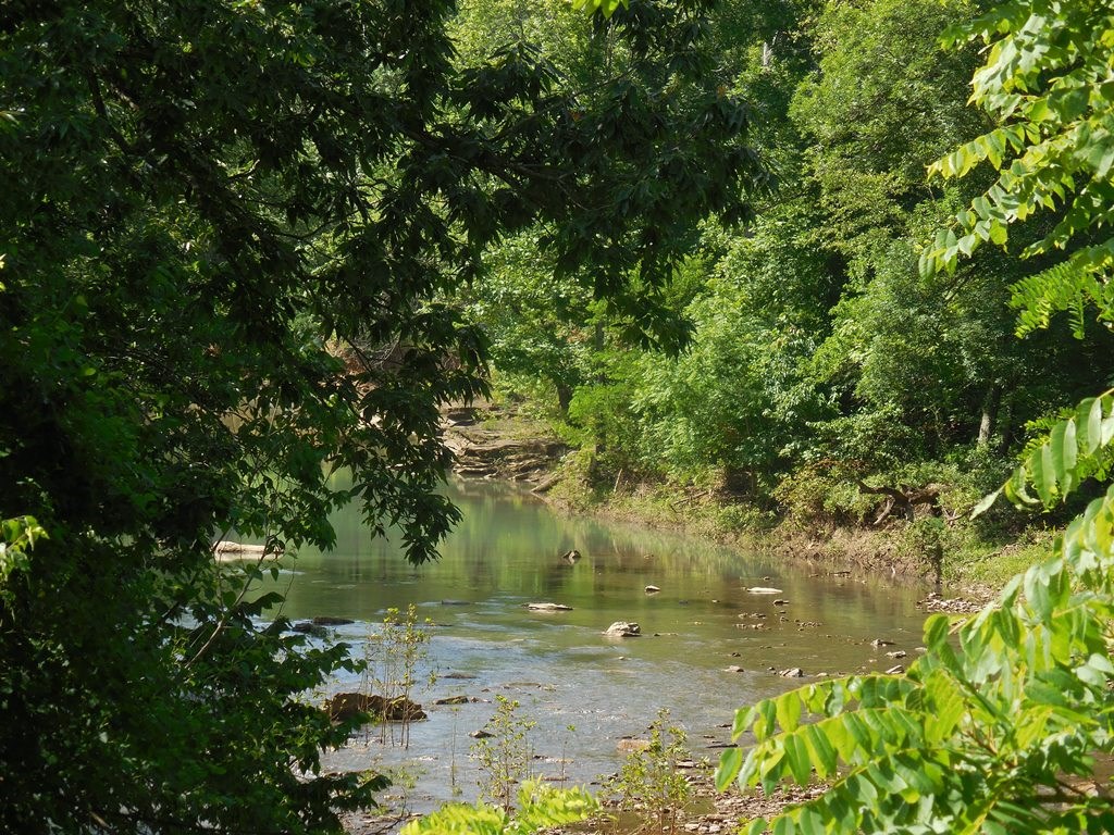 8 acres offers more than a wooded elevated building site! The land crosses the highway to include river frontage for your recreational enjoyment. Washington Water Authority has committed to a water tap for purchase. Perfect combination for your future cabin and your fishing and floating opportunities.