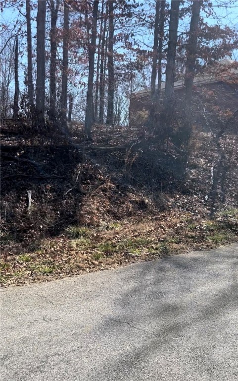 .30 acre lot in Beautiful Bella Vista Ar. Near back 40 biking trails. Can be purchased with lots 7 & 8 for a total of .88 acres. See mls # 1267657  & 1267654.