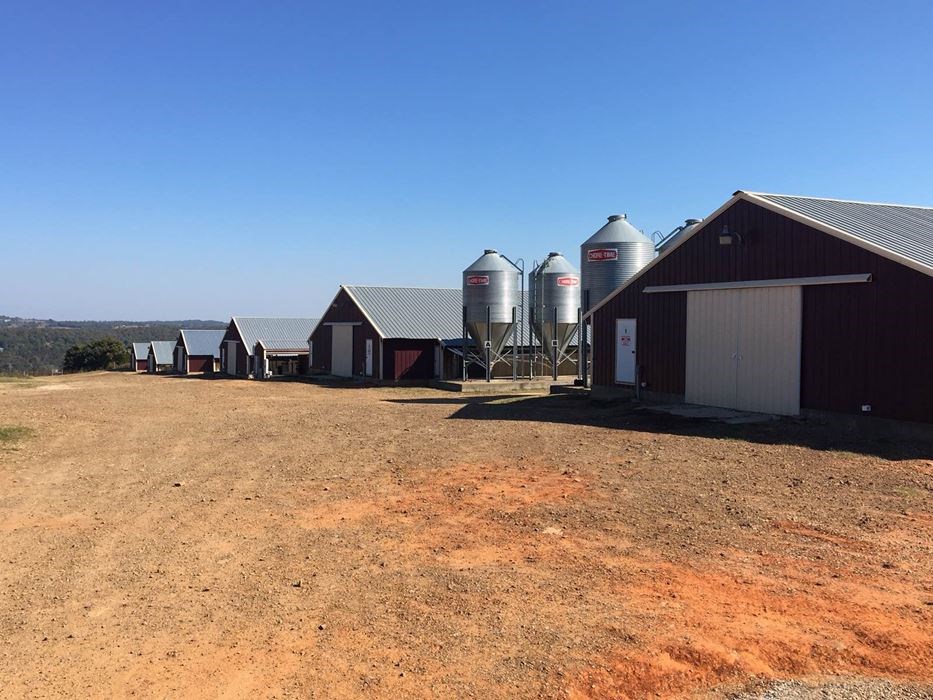 Wesley Farming - Farm