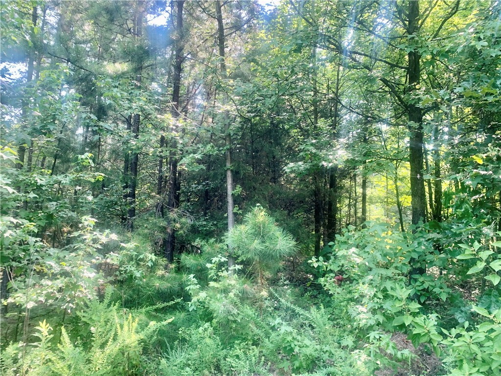 Exciting New Land Listing! This 7.8 acres could be the perfect place to build the home you've been dreaming of! Enjoy the tranquility and space of rural living while being close to all the amenities a small town has to offer. Whether you're planning to build a family home, a weekend getaway, an investment property, or use this property as a recreational property... this land offers endless possibilities. Don't miss out on this opportunity to own a piece of paradise in a prime location!