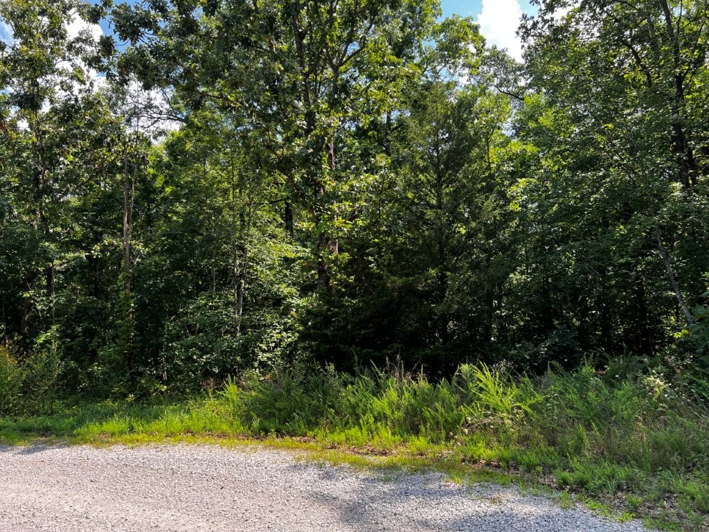 Large lot on .51-acre east side of Bella Vista. In Pea Ridge School District.