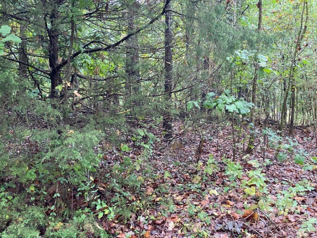 Build your dream home on this beautiful 1/2 acre lot on the 16th tee of the Dogwood golf course!!!
