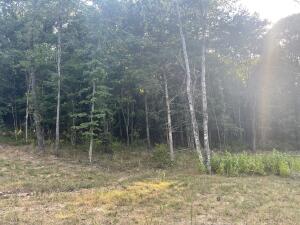 Other Subdivision - Land