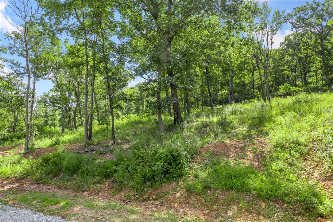 Round Mountain Estates - Land