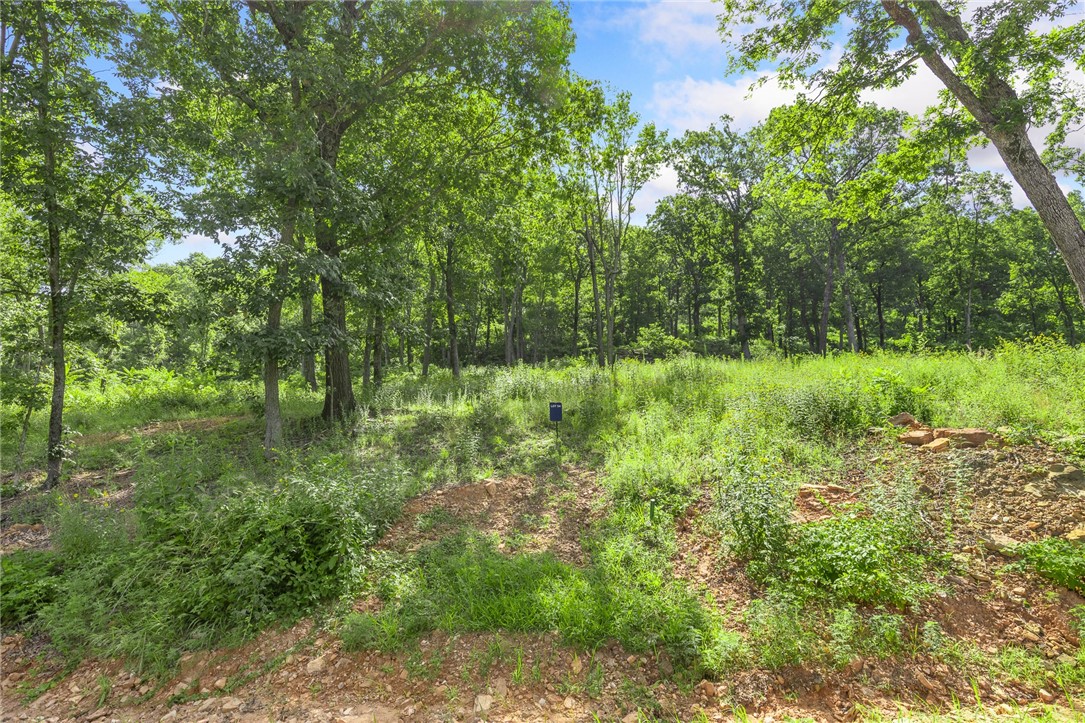 Round Mountain Estates - Land