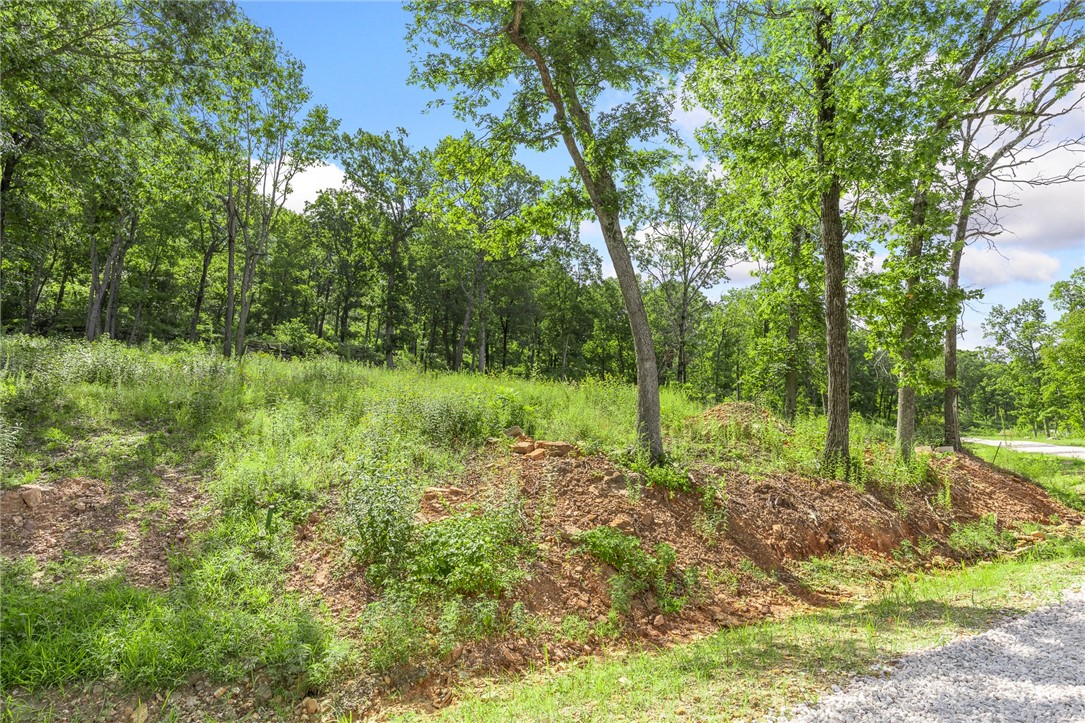 Round Mountain Estates - Land