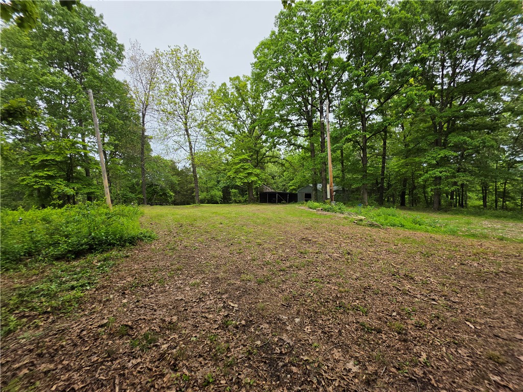 Nestled in the heart of the Ozarks, this beautiful mostly level 7 m/l acre tract offers the perfect setting to build your dream home, cabin, or vacation getaway. 

Adjoining the historic Dogpatch USA property, this park-like setting features electric and rural water already on site, making it ready for your vision. Enjoy peaceful sunrise coffee with seasonal mountain views surrounding Dogpatch on one side, and breathtaking sunset winter views overlooking the River Basin on the other. 

Ideally located just 10 minutes from the Buffalo National River and only 15 minutes to either Harrison or the popular vacation destination of Jasper, this property combines natural beauty, convenience, and endless recreational opportunities in one exceptional location.