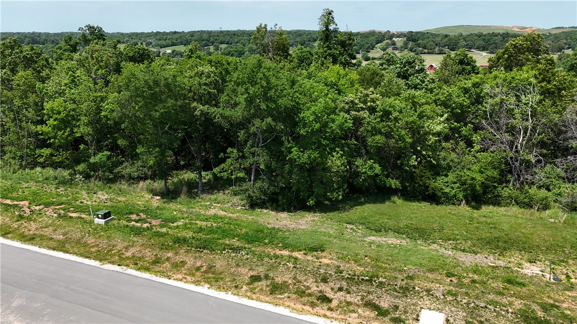 Blackberry Ridge - Land